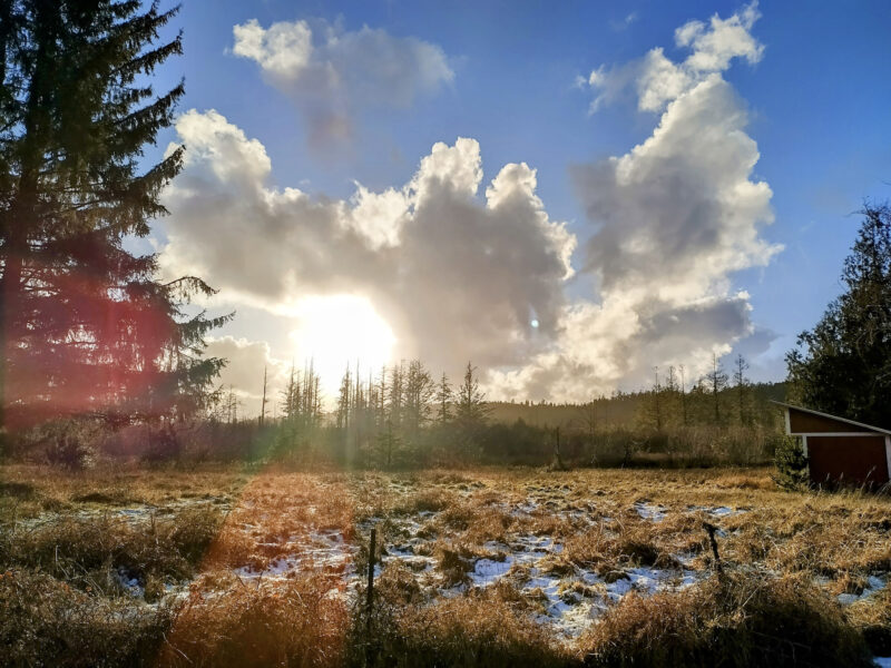 West field near sunset, Oregon coast mobile photography.